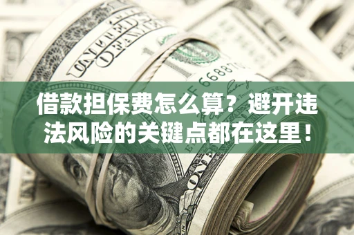 济南借款担保费怎么算？避开违法风险的关键点都在这里！