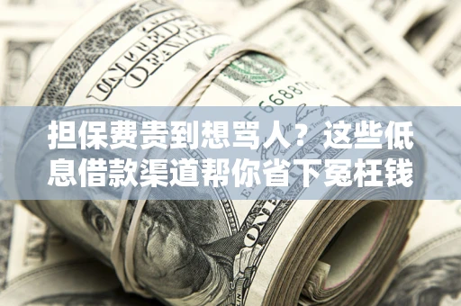济南担保费贵到想骂人？这些低息借款渠道帮你省下冤枉钱